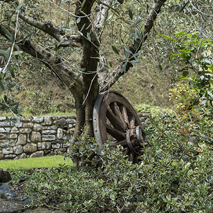 L'Essiccatoio Farmhouse | Outdoor spaces