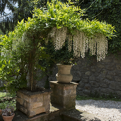 Agriturismo L'Essiccatoio - Esterni